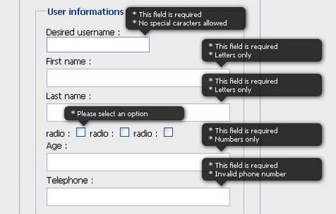 jQuery Form Validation