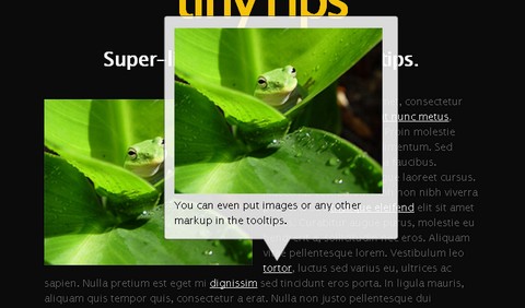 tiny-tooltips