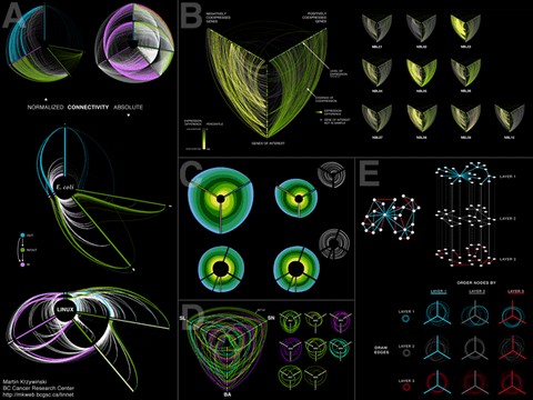 linear-visualization