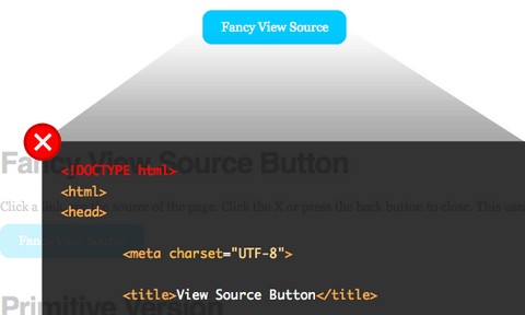 view-source-button