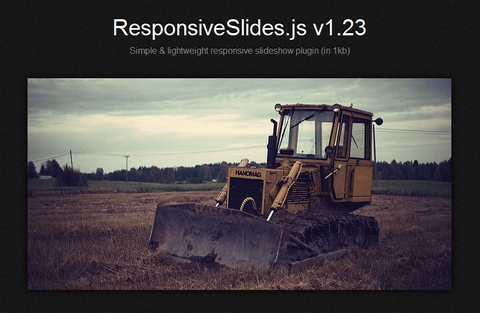 responsive-slides