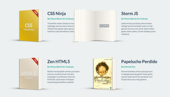 css3-books