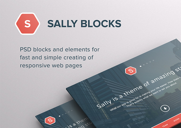 sally-blocks